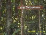 น้ำตกโตนต้นหมาก