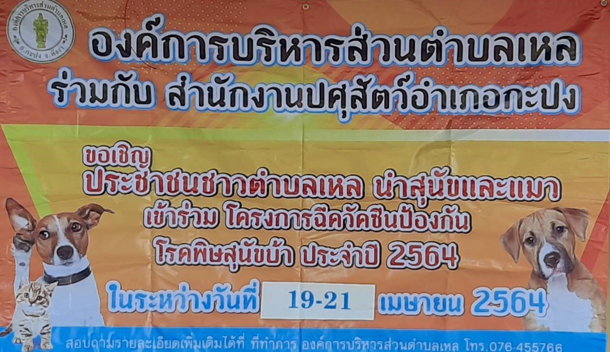 โครงการฉีดวัคซีนป้องกันโรคพิษสุนัขบ้า ประจำปีงบประมาณ พ.ศ. 2564